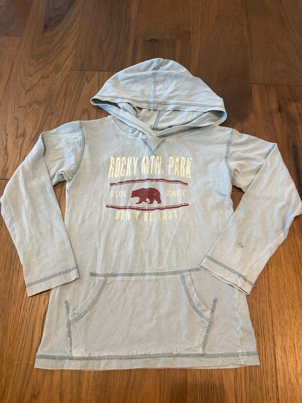 Ragwear USA Rocky Mtn Park Bear Graphic Pullover Hoodie Light Blue Size L